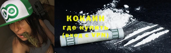 стаф Богородск