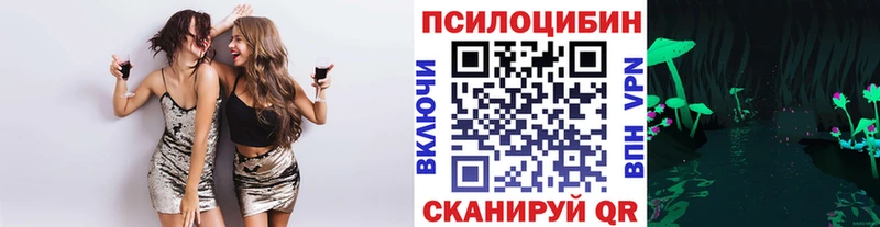 Купить где  Невьянск  Галлюциногенные грибы прущие грибы 